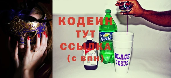соль ск Бикин