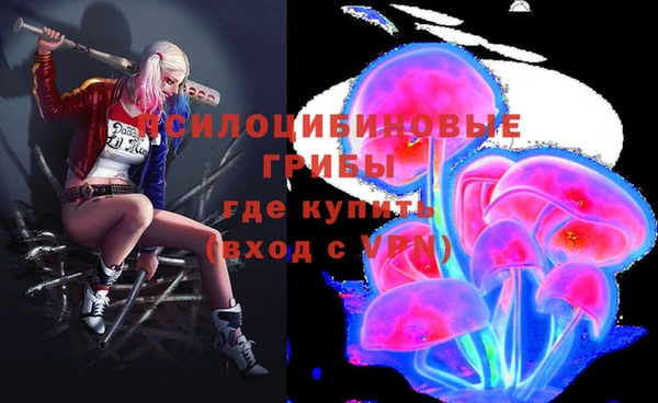 ПСИЛОЦИБИНОВЫЕ ГРИБЫ Магас
