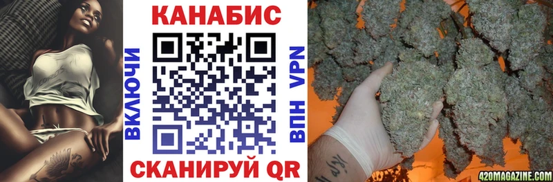 Бошки Шишки план  закладка  Шилка 